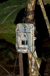 Bushnell Trophy Cam HD camera trap to record wildlife