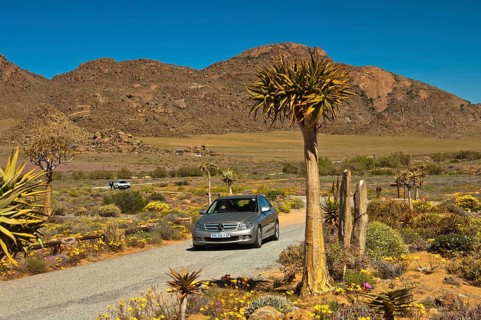 Tarmac road and cars at the entrance to car park for visitors