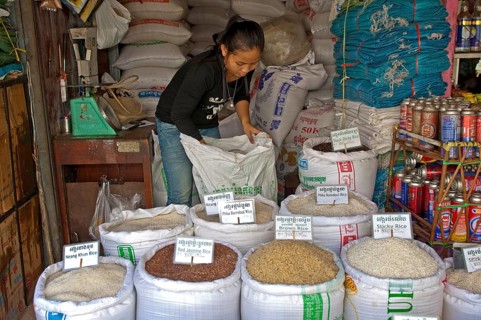 Rice vendor offering different varieties of rice at their stand