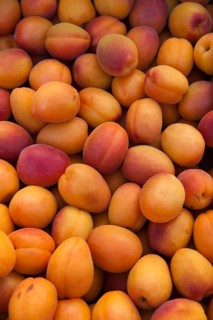 Apricots