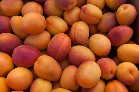 Apricots