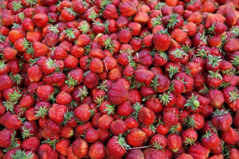 Strawberries