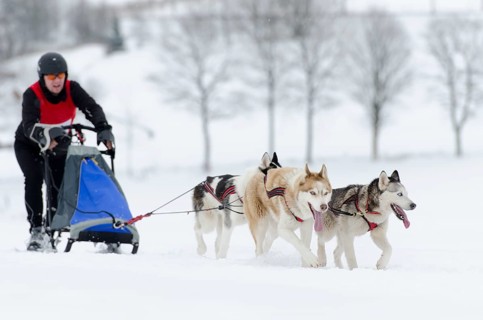 Musher running