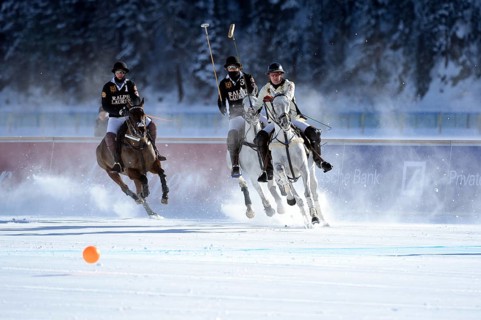 Polo tournament