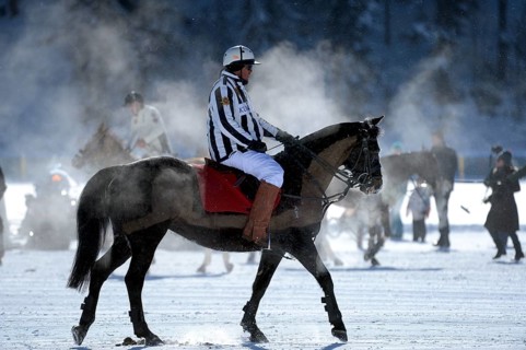 Rider during a polo tournament