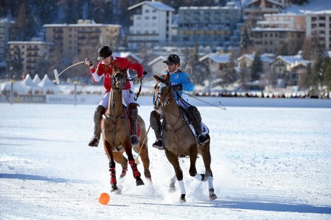 Polo tournament
