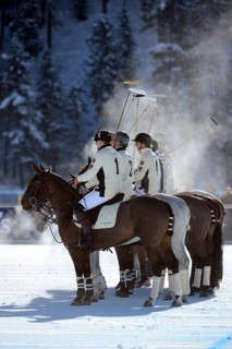 Polo tournament