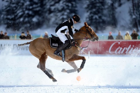 Polo tournament