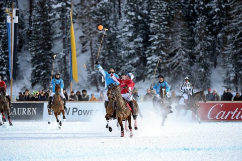Polo tournament