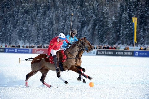 Polo tournament