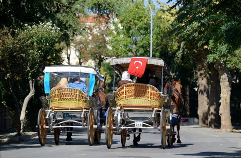 Horse-drawn carriages