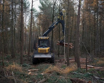Forestry forwarder harvesting timber