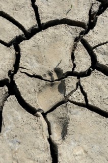Footprint in dry