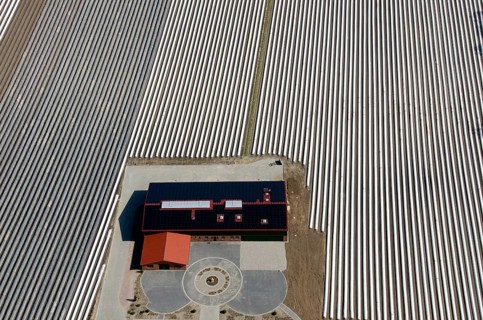 Modern agriculture