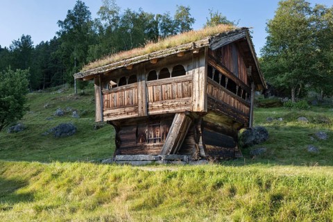 Historic wooden house with a roof covered by vegetation