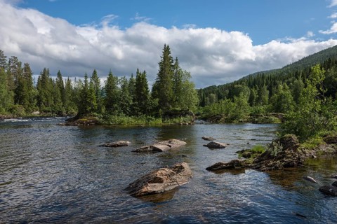 Landscape with the salmon river of Namsen