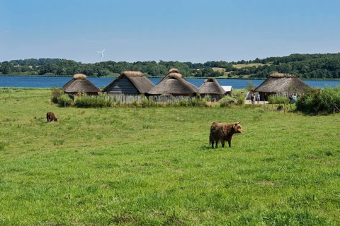 Thatched cottages beside a lake