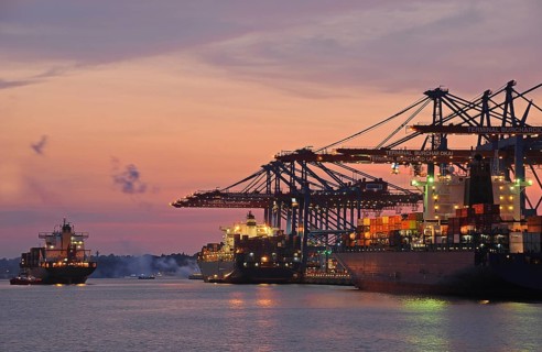 Container ships in the port