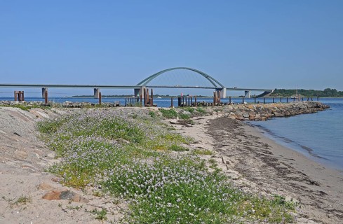 Fehmarn Sound Bridge