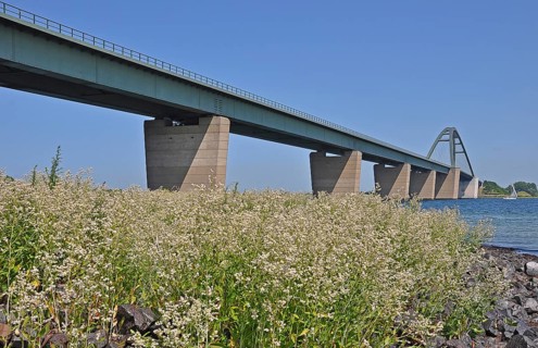 Fehmarn Sound Bridge