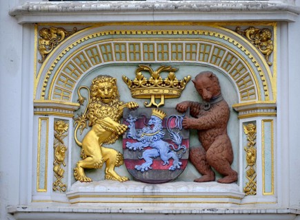 Lion and bear