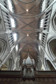 Organ and vaulted ceiling