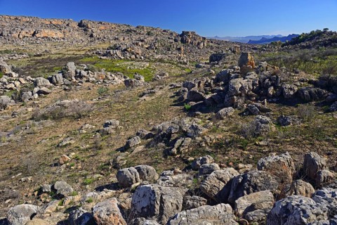 Landscape of the Cederberg Wilderness Area