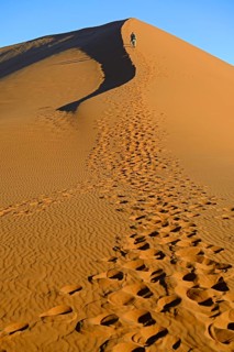Tourists climbing Dune 45 in the evening light