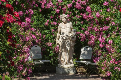 Statue of a God in the Rose Garden