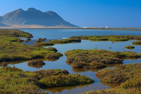Almadraba de Monteleva