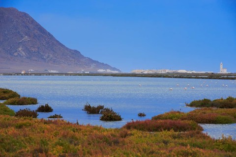 Almadraba de Monteleva