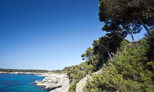 Rocky coast
