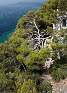 Overgrown cliff-lined bay
