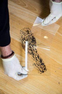 Shoe print on the floor