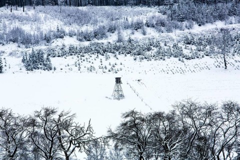 Snow-covered landscape