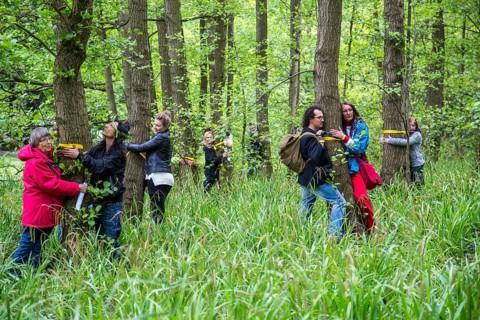 World record in tree hugging