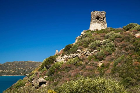 Saracen Tower on the coast