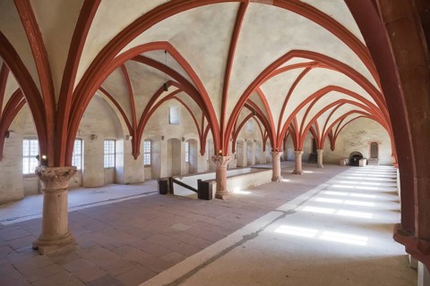 The Gothic cross-ribbed vault in the dormitory of Eberbach Abbey