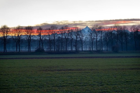Fields with rows of trees in front of Monte Viso or Monviso