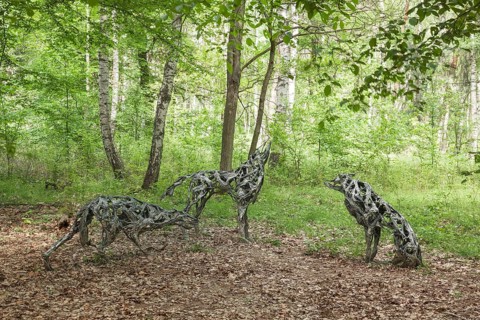 Woelfe' by Marion Burghouwt