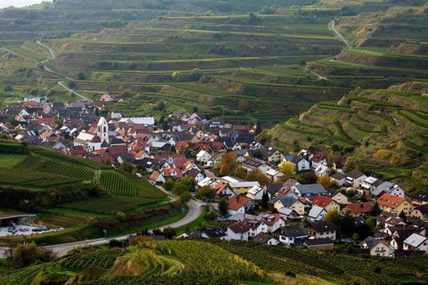 Village surrounded by vineyards