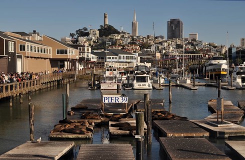Pier 39. Coit Tower and Transamerica Building in the backdrop