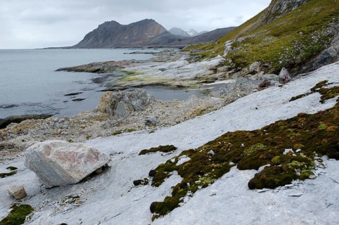 Views from the limestone cliffs near Gnalodden towards Fannypynten