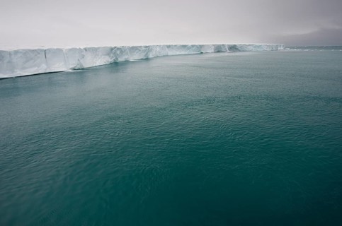 Brasvellbreen