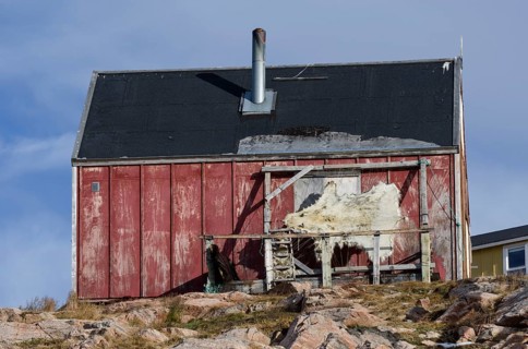 Polar bear skin drying on a frame outside a house in the Ittoqqortoormiit settlement