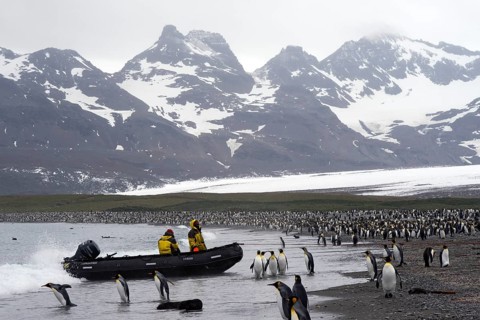 Crew of an expedition cruise ship in a zodiac inflatable boat