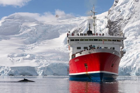 Humpback whale and the expedition cruise ship MS Expedition