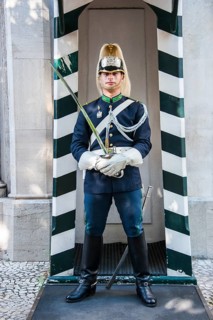Guardsman