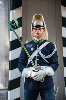 Guardsman