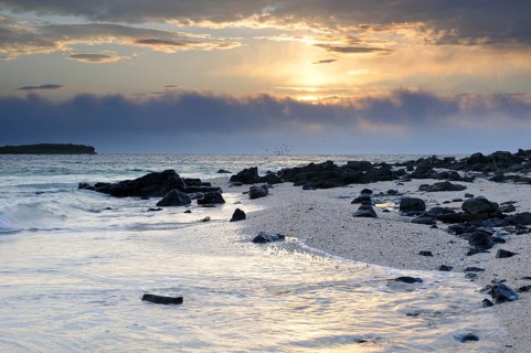 Coastal landscape with rocks and shellbearing limestone in the evening light